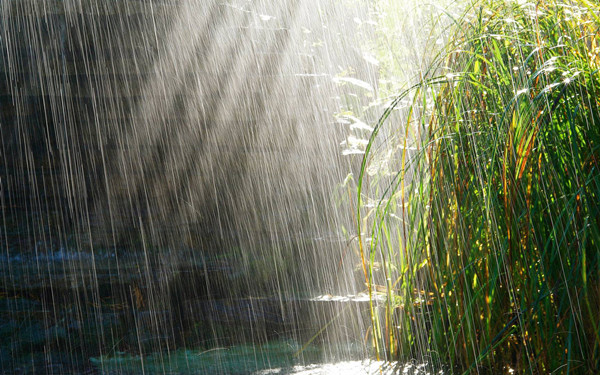 雨季使用雷达液位计的注意事项