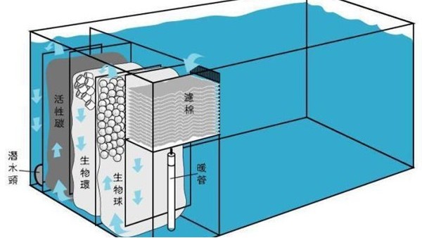 岸滤系统水泵液位监测的技术革新：雷达液位计的应用